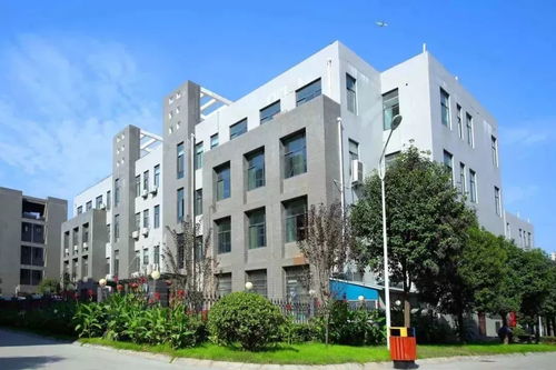 大勢起，觀未來——原創(chuàng)女裝品牌“銘鴻一族”與箱包風尚推薦